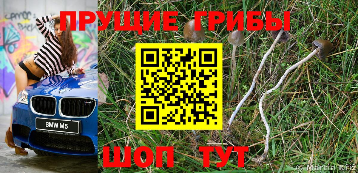 Галлюциногенные грибы GOLDEN TEACHER  Псилоцибиновые грибы Psilocybine cubensis  Вход с VPN  Реж 